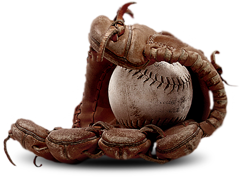 basball glove holding a baseball